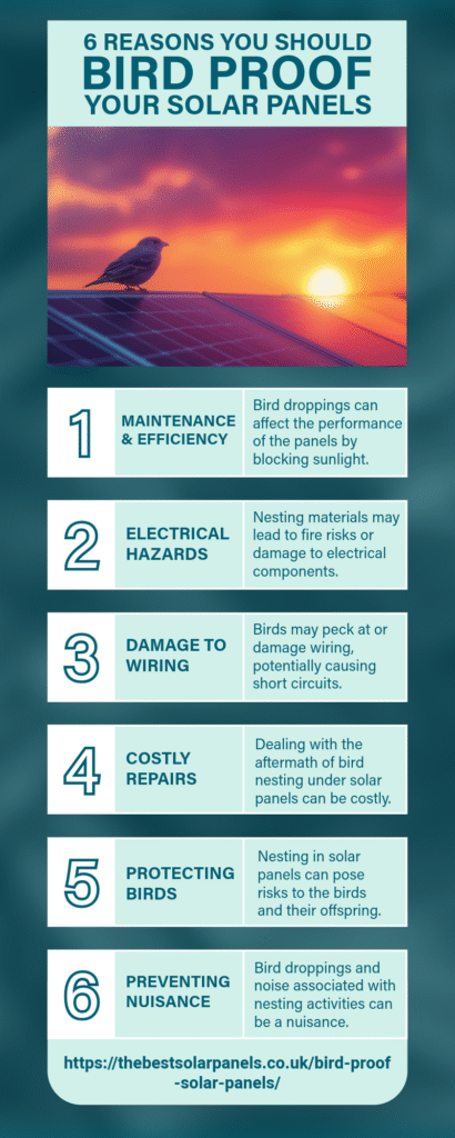 bird proofing solar panels, bird proofing products, how to choose bird proofing products for solar panels