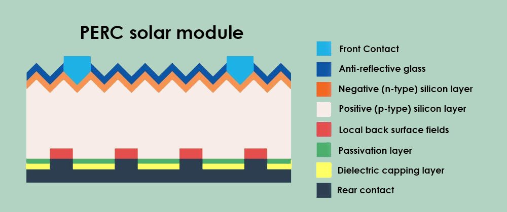 perc solar cells, perc solar module