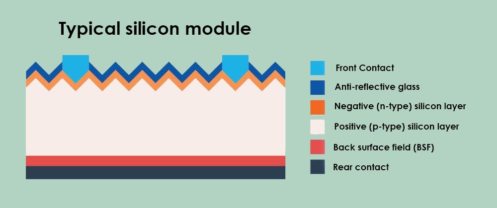 perc solar cells, typical silicon module